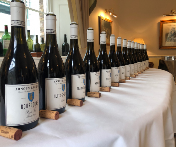 Domaine arnoux lachaux wines _ Reviews