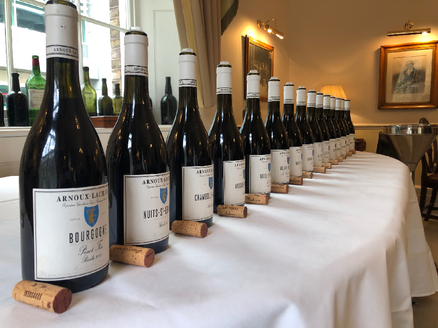Domaine arnoux lachaux wines _ Reviews