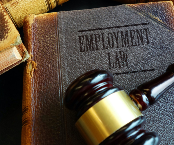 Key Qualities of an Employment Attorney that You Must Consider Before Hiring